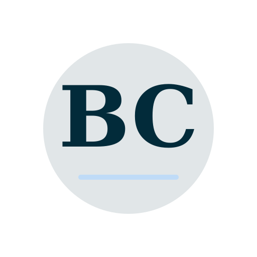 Bruce Chimney Repair logo